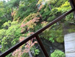 飛鳥Ⅱ酒蔵訪問2016　太平山５